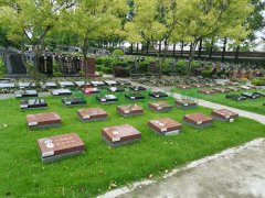 上海市淀山湖归园蒲香苑-2