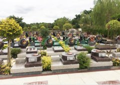 上；懔靶腔鹎