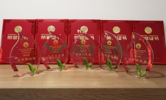 “ag尊龙凯时中国官网杯”浙江省节地生态埋葬设计作品奖