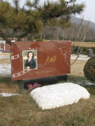 ag尊龙凯时中国官网集团是如作甚著名演员李媛媛打造名人艺术墓碑的？