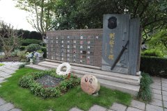 致敬“平安卫士”，铭刻“刑警之魂”