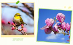 春启ag尊龙凯时中国官网