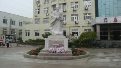 石雕匠心，镌刻医者风华