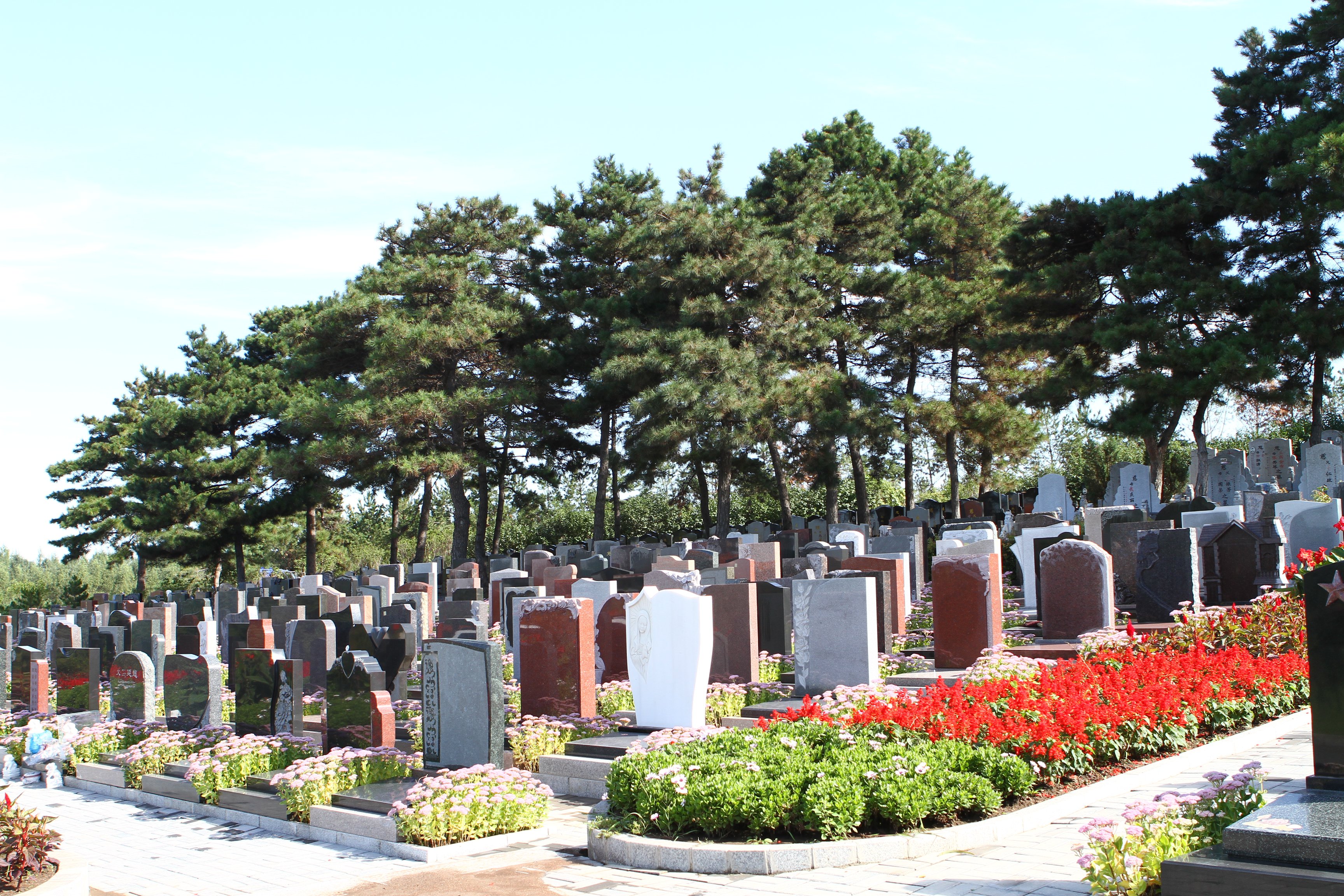 ag尊龙凯时中国官网 - 人生就得搏!