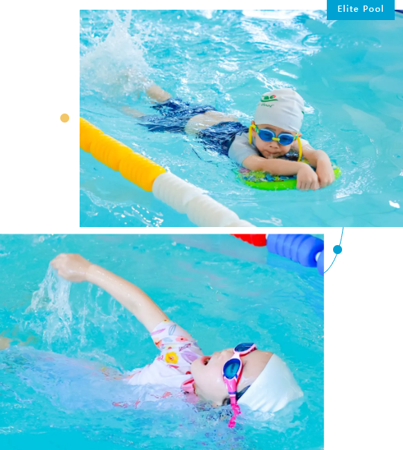 ag尊龙凯时中国官网 - 人生就得搏!