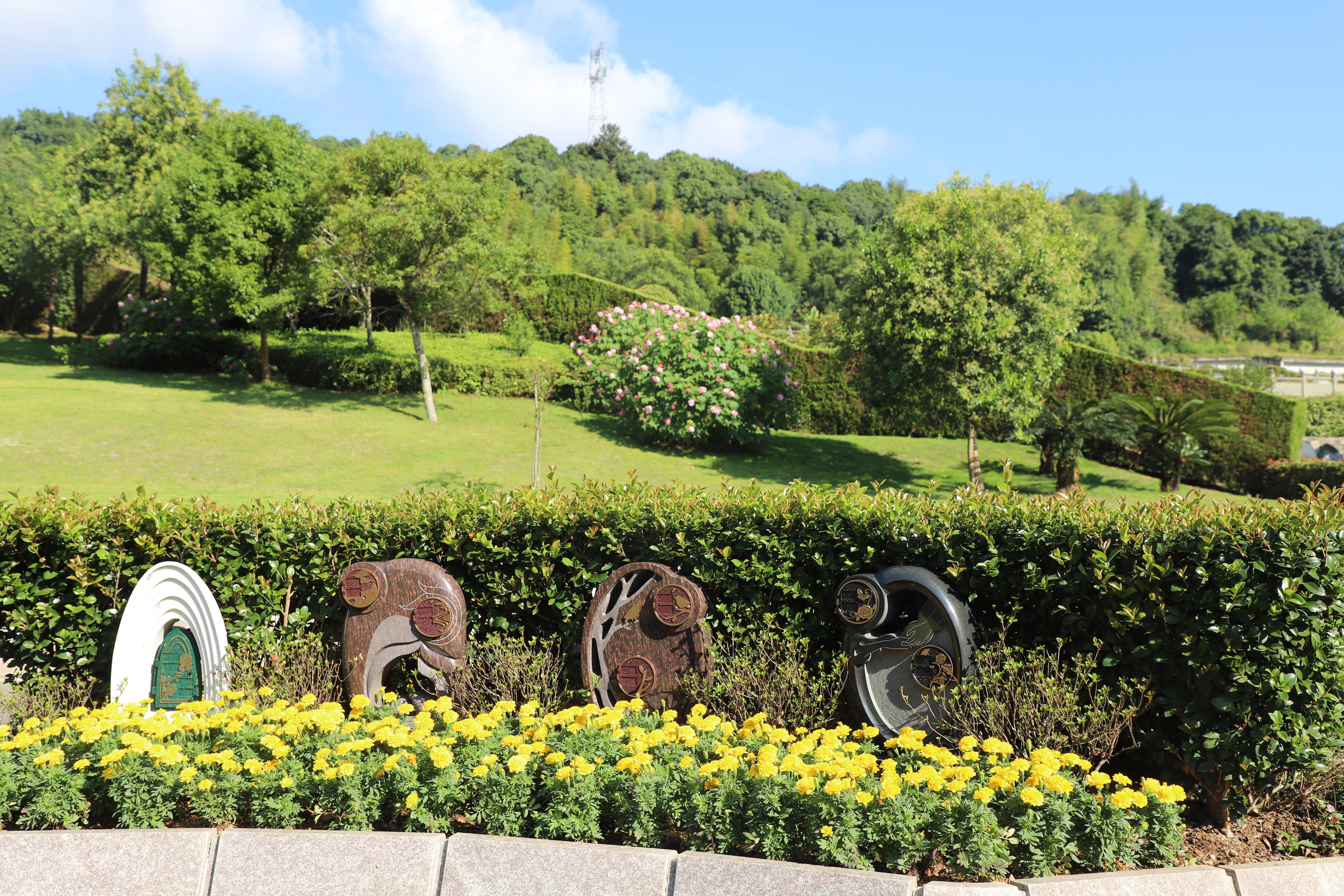 ag尊龙凯时中国官网 - 人生就得搏!