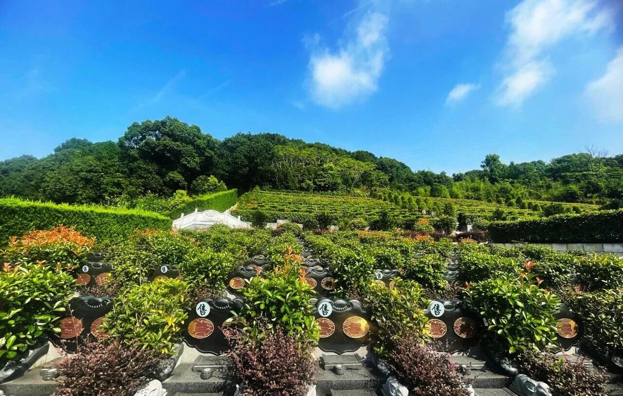 ag尊龙凯时中国官网 - 人生就得搏!