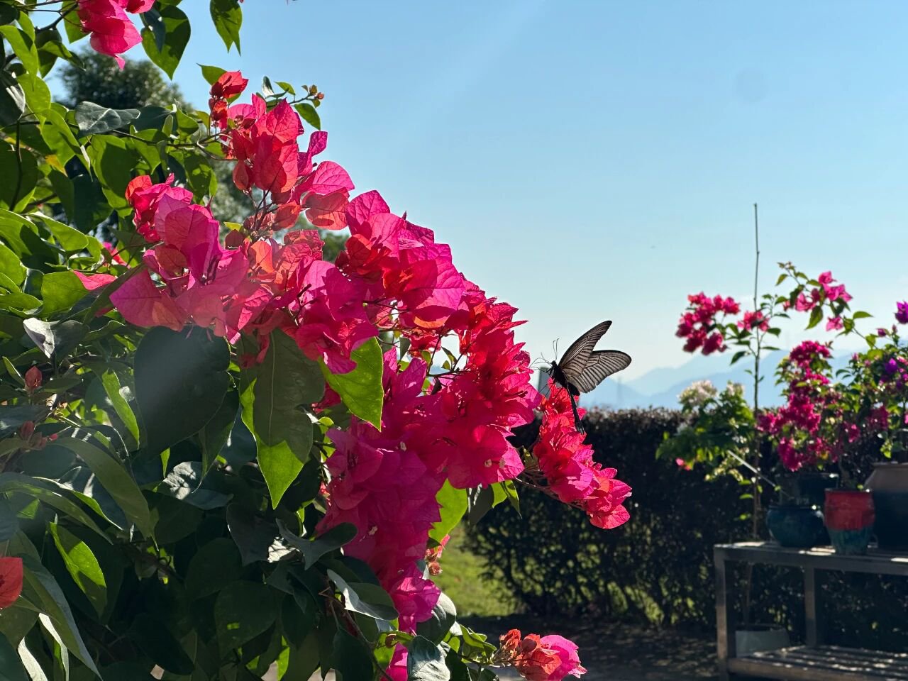 ag尊龙凯时中国官网 - 人生就得搏!