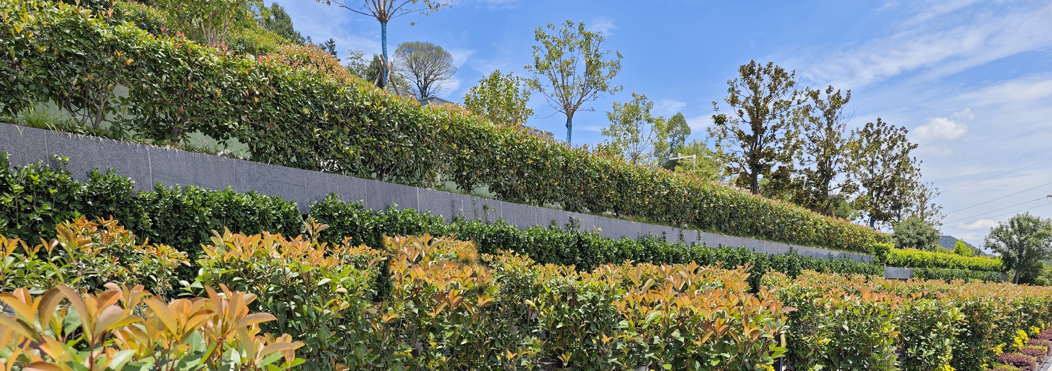 ag尊龙凯时中国官网 - 人生就得搏!