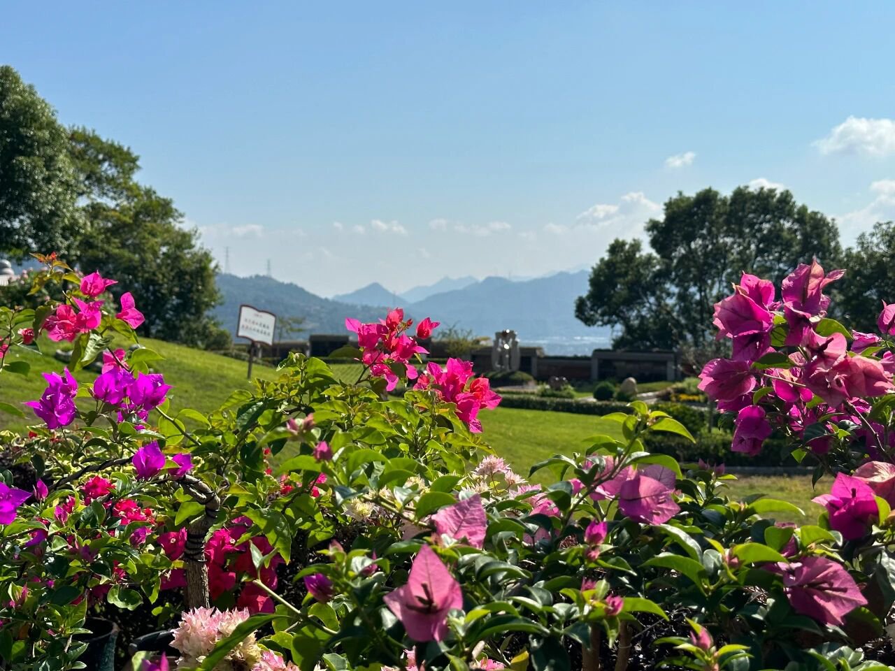 ag尊龙凯时中国官网 - 人生就得搏!