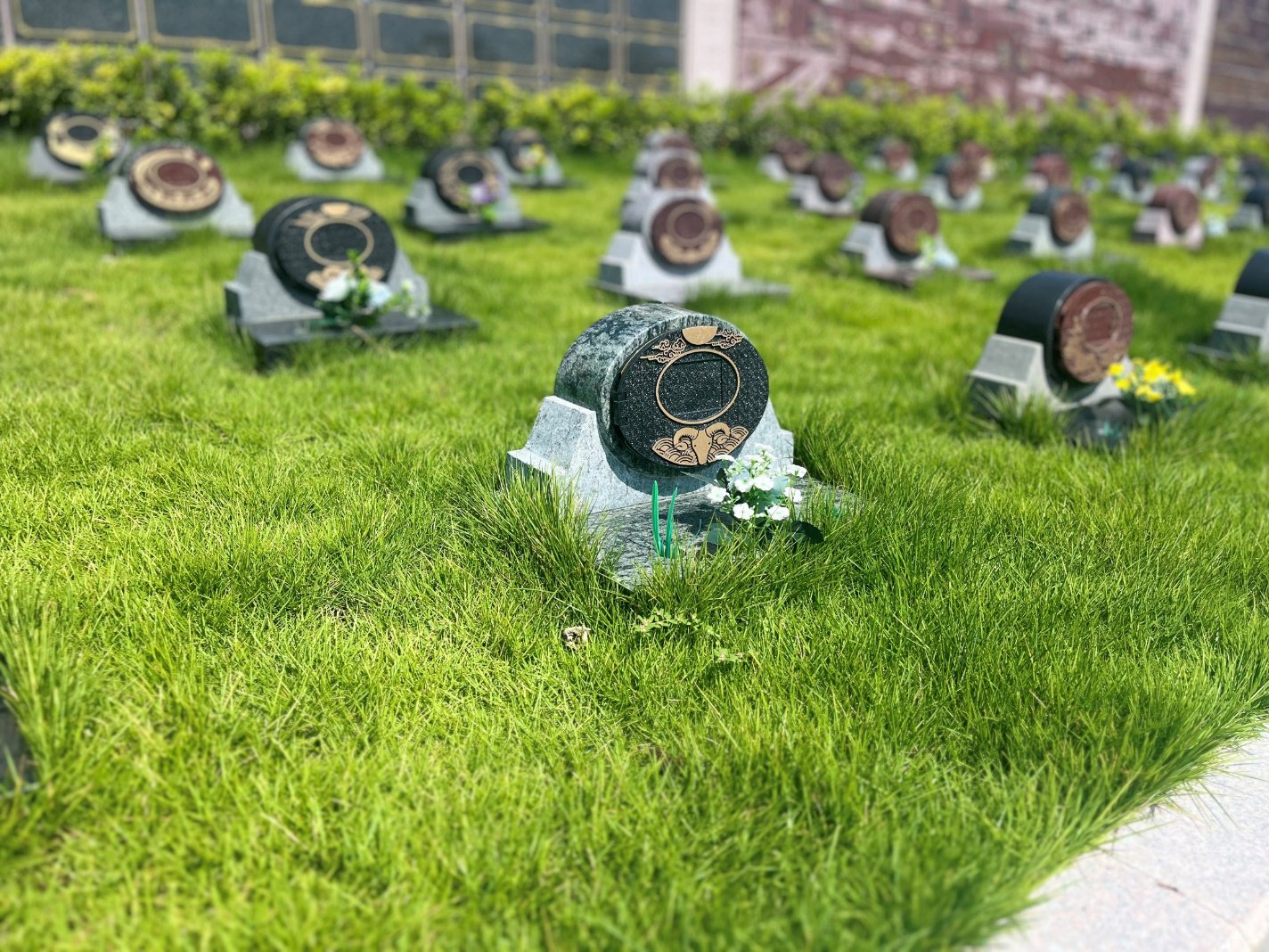 ag尊龙凯时中国官网 - 人生就得搏!