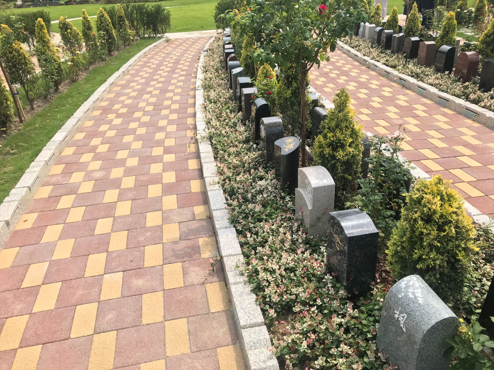 ag尊龙凯时中国官网 - 人生就得搏!